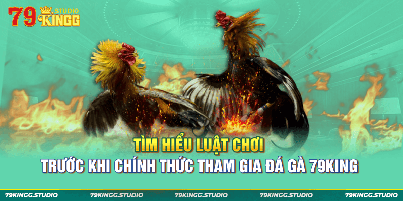 Tìm hiểu luật chơi trước khi chính thức tham gia đá gà 79King