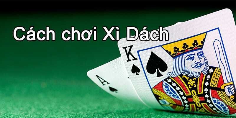 Cách chơi xì dách đơn giản và cách chơi