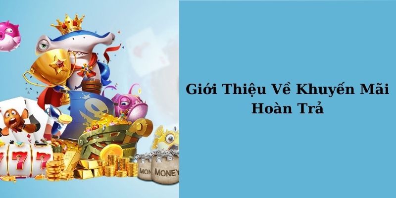 Các điều kiện chú ý khi tham gia ưu đãi hoàn trả