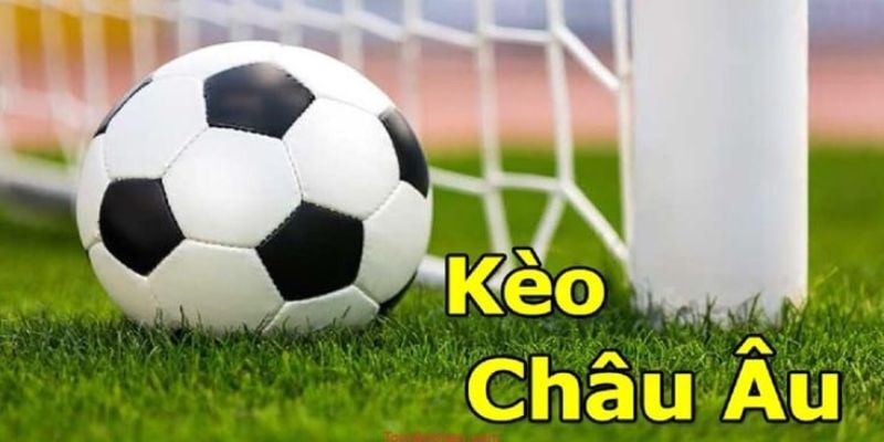 Mẹo soi kèo bổ ích từ chuyên gia