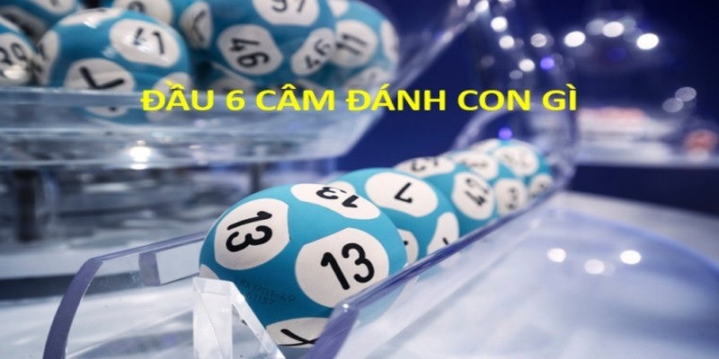 Tìm hiểu đầu 6 câm hôm sau đánh con gì dễ thắng 