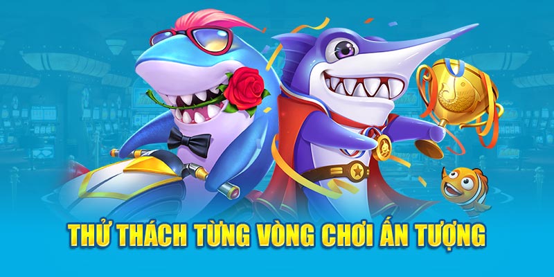 Thử thách từng vòng chơi ấn tượng